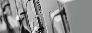 Immagine intestazione